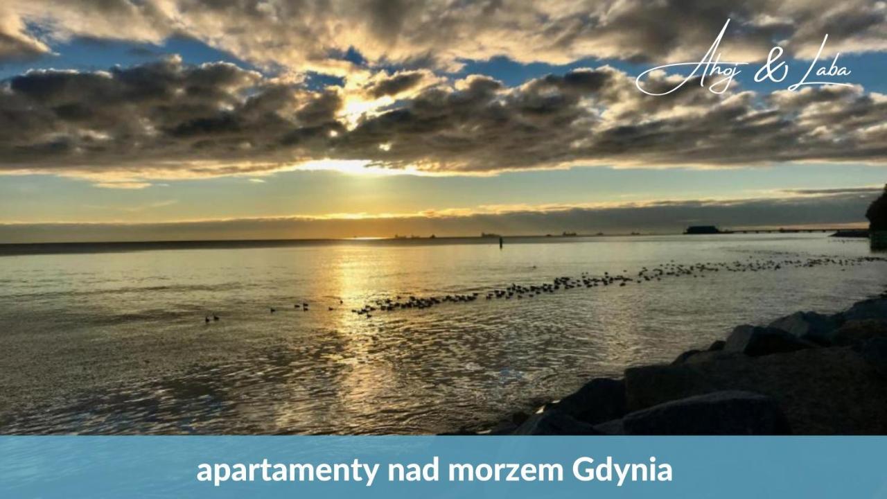 Laba - Basen, Blisko Plazy, Cisza, Taras, Parking, Bezplatne Wifi, Wyjatkowy! Gdynia Exterior foto
