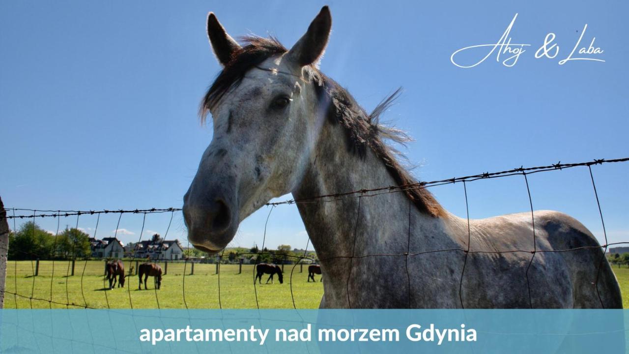 Laba - Basen, Blisko Plazy, Cisza, Taras, Parking, Bezplatne Wifi, Wyjatkowy! Gdynia Exterior foto